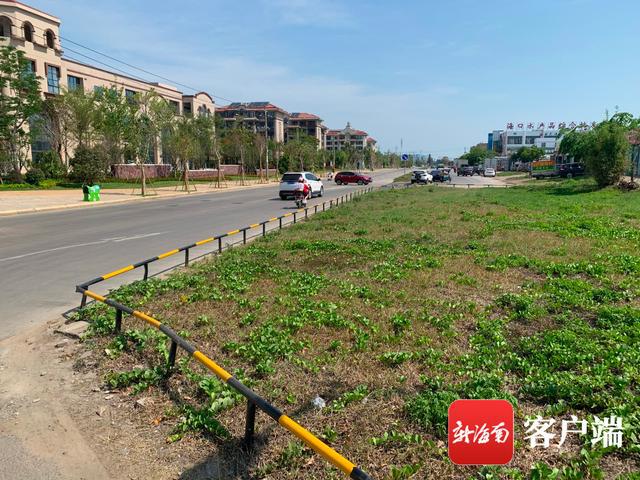 新合埠路最新動態(tài)，邁向未來的城市主干道重塑與升級