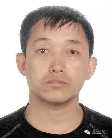 佳木斯市警方發(fā)布最新通緝令，追捕涉案人員，維護(hù)社會(huì)安定（2016年通緝令詳解）