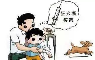 最新狂犬病發(fā)作視頻，理解與應對的挑戰(zhàn)