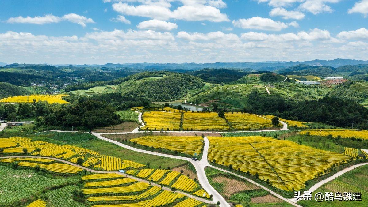 甕安建中鎮(zhèn)最新建設(shè)，邁向現(xiàn)代化步伐的見證