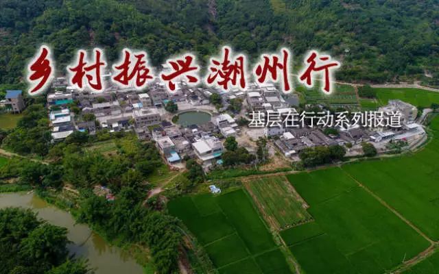牧馬鎮(zhèn)蓮花村最新規(guī)劃，鄉(xiāng)村振興的藍(lán)圖展望