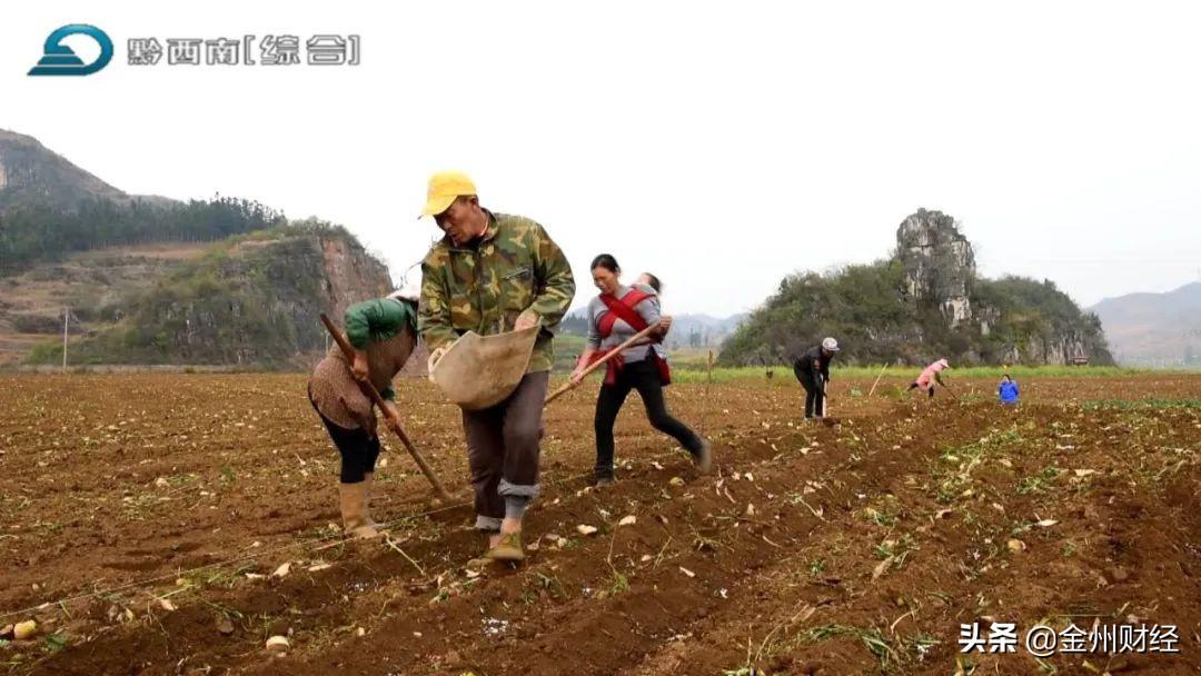 最新興仁下山鎮(zhèn)視頻，揭示一個美麗而充滿活力的鄉(xiāng)村面貌