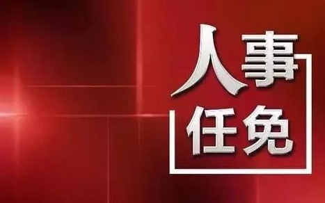 中央最新人事任免，蔡某某的新職務(wù)與未來展望