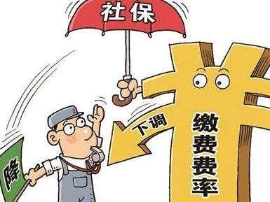 上海最新社?；鶖?shù)