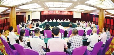 澳門王中王100的資料論壇，深入解析與落實的探討