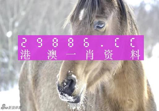 澳門一肖一碼100準(zhǔn)免費(fèi)，揭示背后的真相與風(fēng)險(xiǎn)