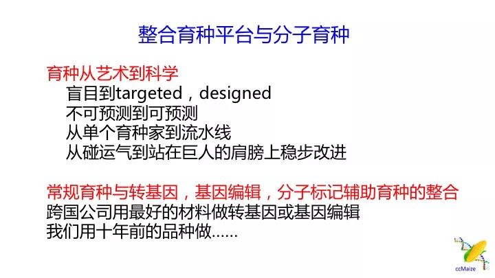 澳門正版免費(fèi)服務(wù)與顧問(wèn)釋義解釋落實(shí)，未來(lái)的趨勢(shì)與挑戰(zhàn)