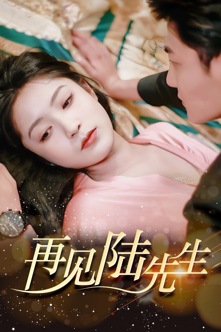 再見許先生最新章節(jié)，重逢的序曲